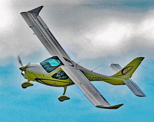 Learn to Fly Light Sport Aircraft