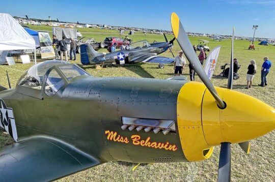 P-51 Mustang Showcase, Plane Crazy